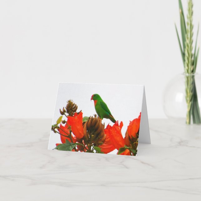 Note cards wtih exotic parrot on orange flowers (Front)