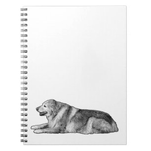 Note Dot, Creative Mood Notebook