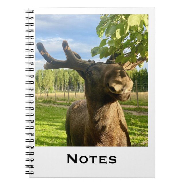 Notebook (Front)