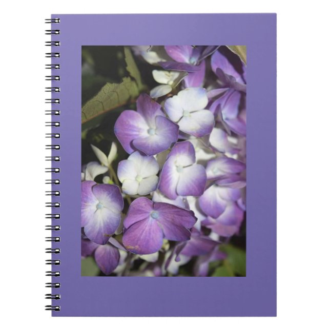 Notebook (Front)