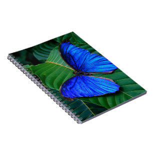 Notebook-Butterfly Notebook
