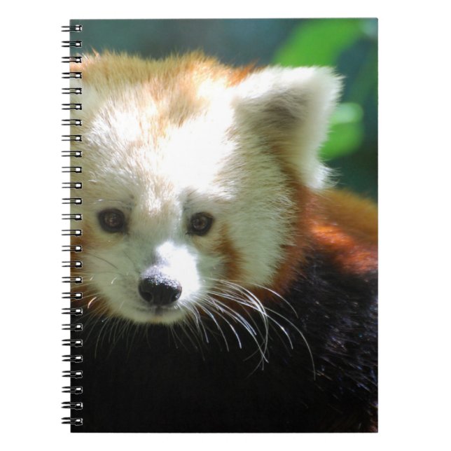 Notebook - Customised (Front)