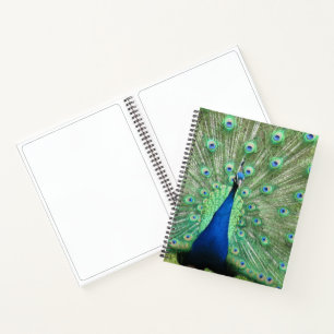 Notebook - Peacock Portrait