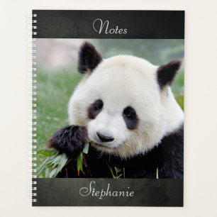 Notebook Photo giant panda , animals 01. notebook Planner