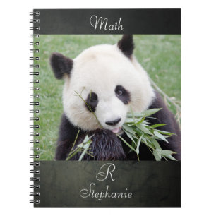 Notebook Photo giant panda , animals 0289.