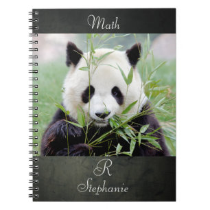 Notebook Photo giant panda , animals 0290.