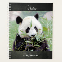 Notebook Photo giant panda , animals 02. notebook