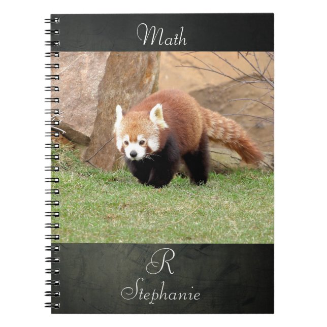 Notebook Photo red panda , animals 0436. (Front)