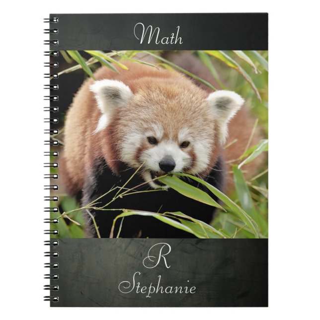 Notebook Photo red panda , animals 0443. (Front)