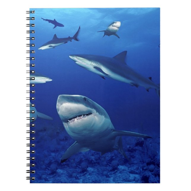 Notebook-Sharks Notebook (Front)