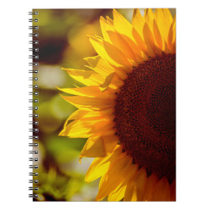 Notebook - Sunflower In The Field Photography
