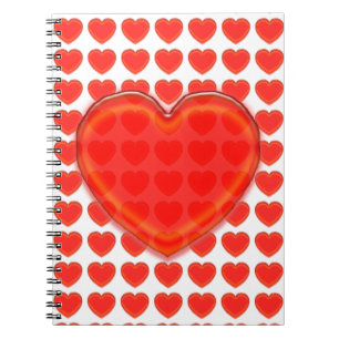 Notebook - Three Dimensional Hearts