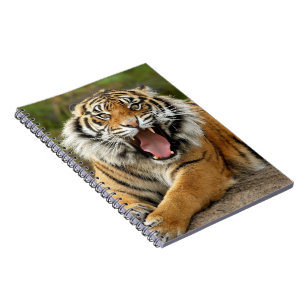 Notebook-Tiger Notebook