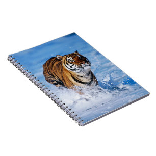 Notebook-Tiger Notebook