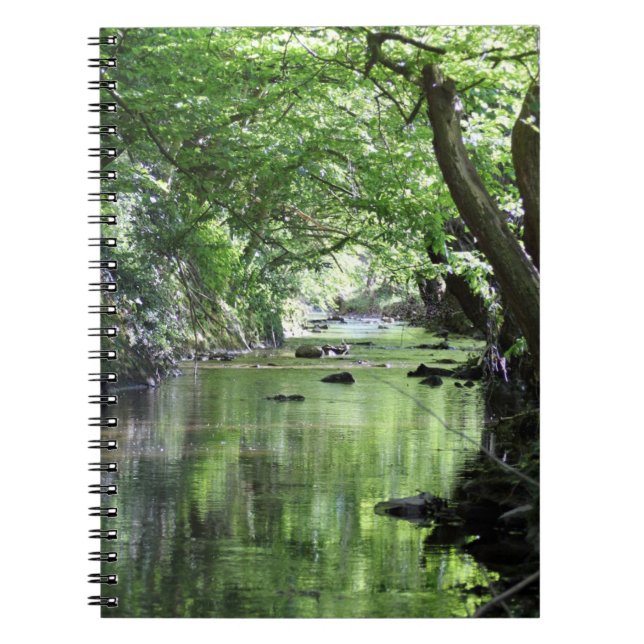 Notebook Waldbach (Front)
