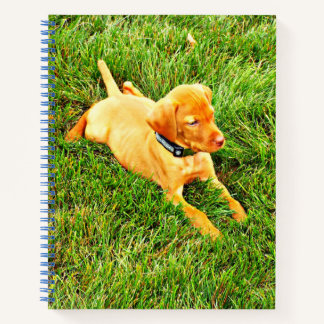 Notebook with a Vizsla Puppy