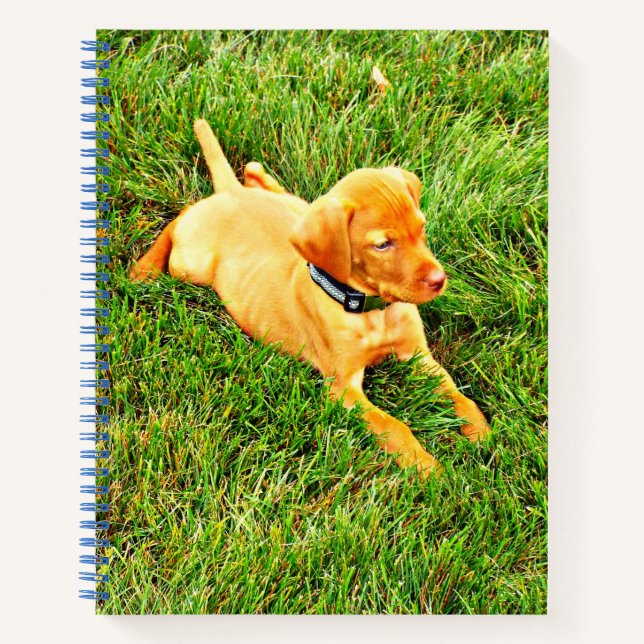 Notebook with a Vizsla Puppy (Front)