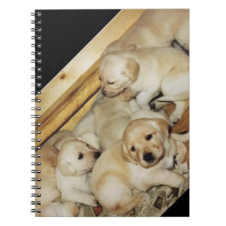 Notebook with photo of yellow lab puppies