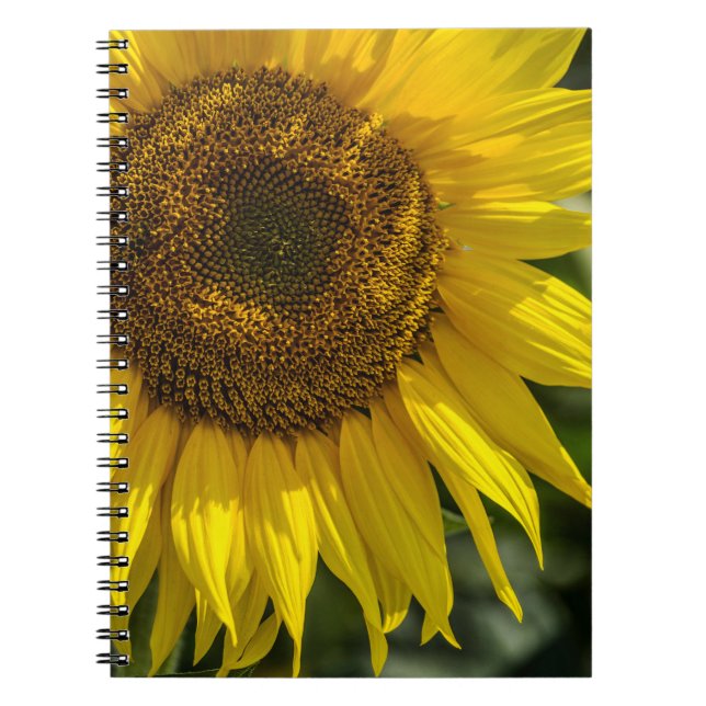 Notebook - Yellow Sunflower (Front)