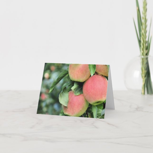Notecard - Apples (Front)
