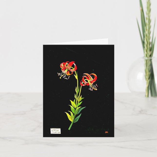 Notecard-Botanical Art-Mary Delany 11 Card (Front)
