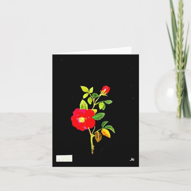 Notecard-Botanical Art-Mary Delany 14 Card (Front)
