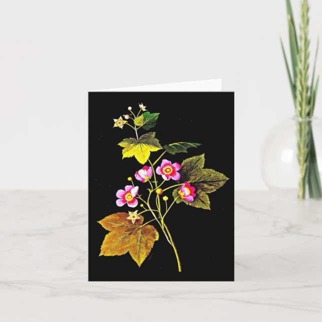 Notecard-Botanical Art-Mary Delany 4 Card (Front)