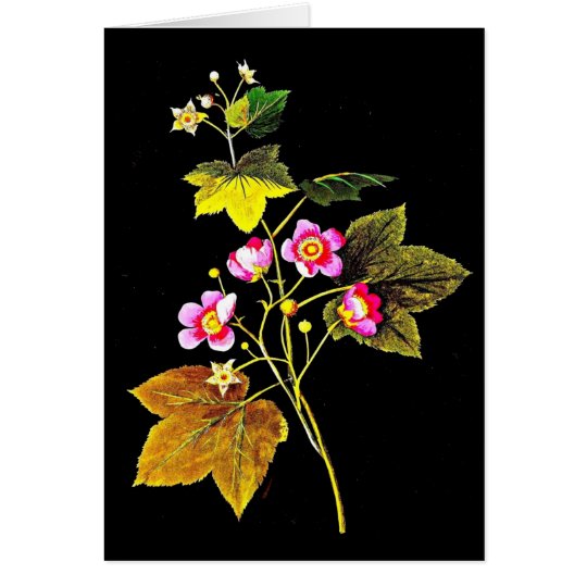 Notecard-Botanical Art-Mary Delany 4 Card