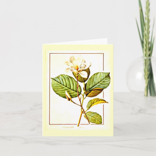Notecard-Botanicals-Pierre Joseph Redoute 12 Card (Front)