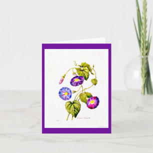 Notecard-Botanicals-Pierre Joseph Redoute 6 Card