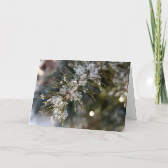 NOTECARD, Crystal flakes on Spruce Needles Card (Front)