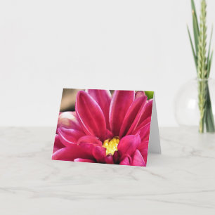 Notecard - Dahlia closeup