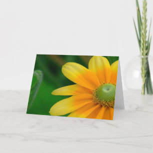 Notecard, Floral Photo Blank Inside Card