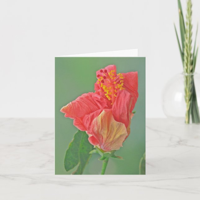 NOTECARD, FLORAL, RED HIBISCUS/TEXTURE CARD (Front)