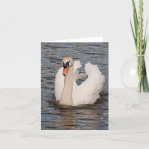 Notecard: 'Grace' Male Mute Swan Card