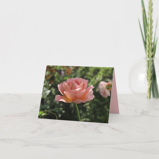 Notecard with Beautiful Coral Rose (Front)