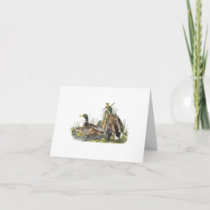 Notecard with Mallard Duck Nest