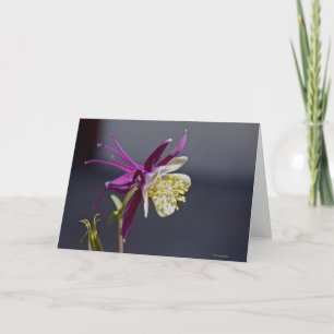 Notecard with Remembrence Columbine Flower