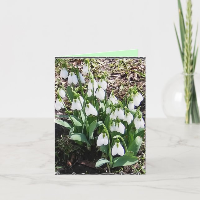 Notecard with Snowdrops! (Front)