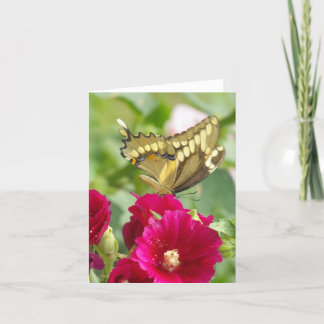 Notecard with Swallowtail Butterfly