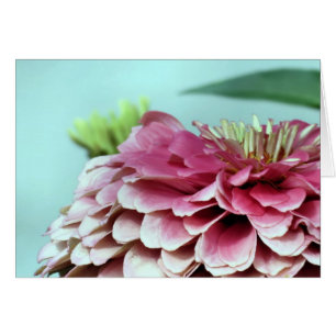 Notecard - Zinnia Petals
