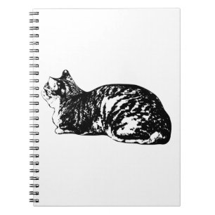 Notes Beside a Loafed Tabby Notebook