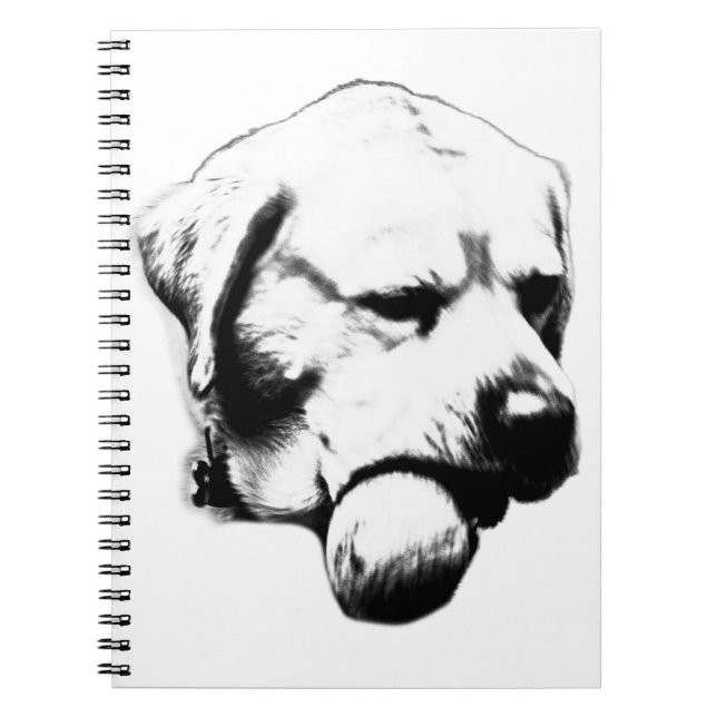 Notes Between Throws Notebook (Front)