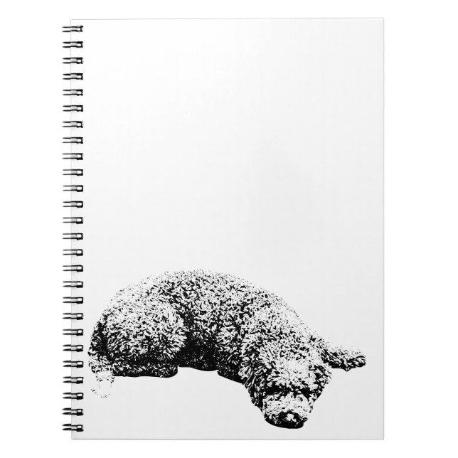 Notes by the Window Notebook (Front)