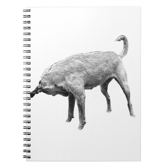 Notes for a Curious Terrier Notebook (Front)