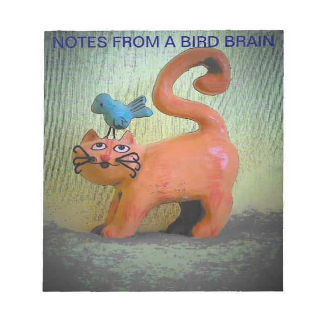 Notes from a bird brain kitty (Front)