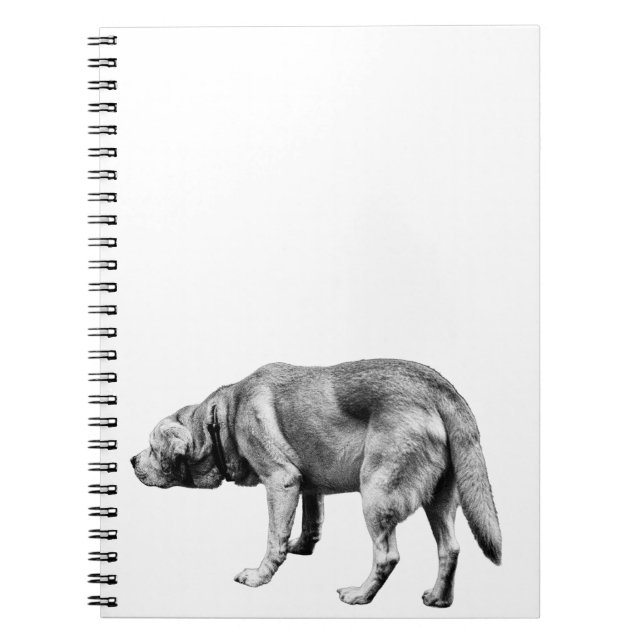 Notes from a Faithful Patrol Notebook (Front)