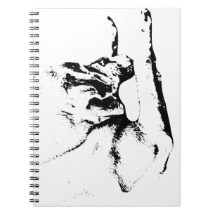 Notes from the Fetch Notebook