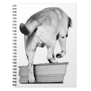 Notes From the Top Step Notebook