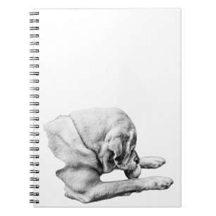 Notes of Play Notebook